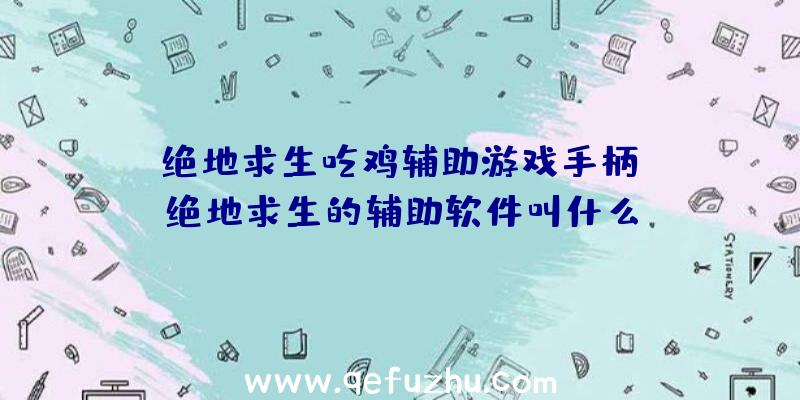 「绝地求生吃鸡辅助游戏手柄」|绝地求生的辅助软件叫什么